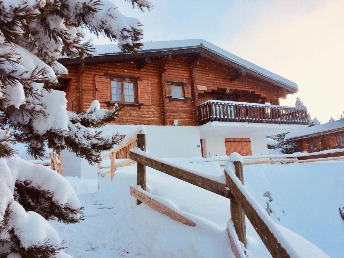 Ei Chalet Du Pere Castor Villa Bolquere Pyrenees 2000 Екстериор снимка